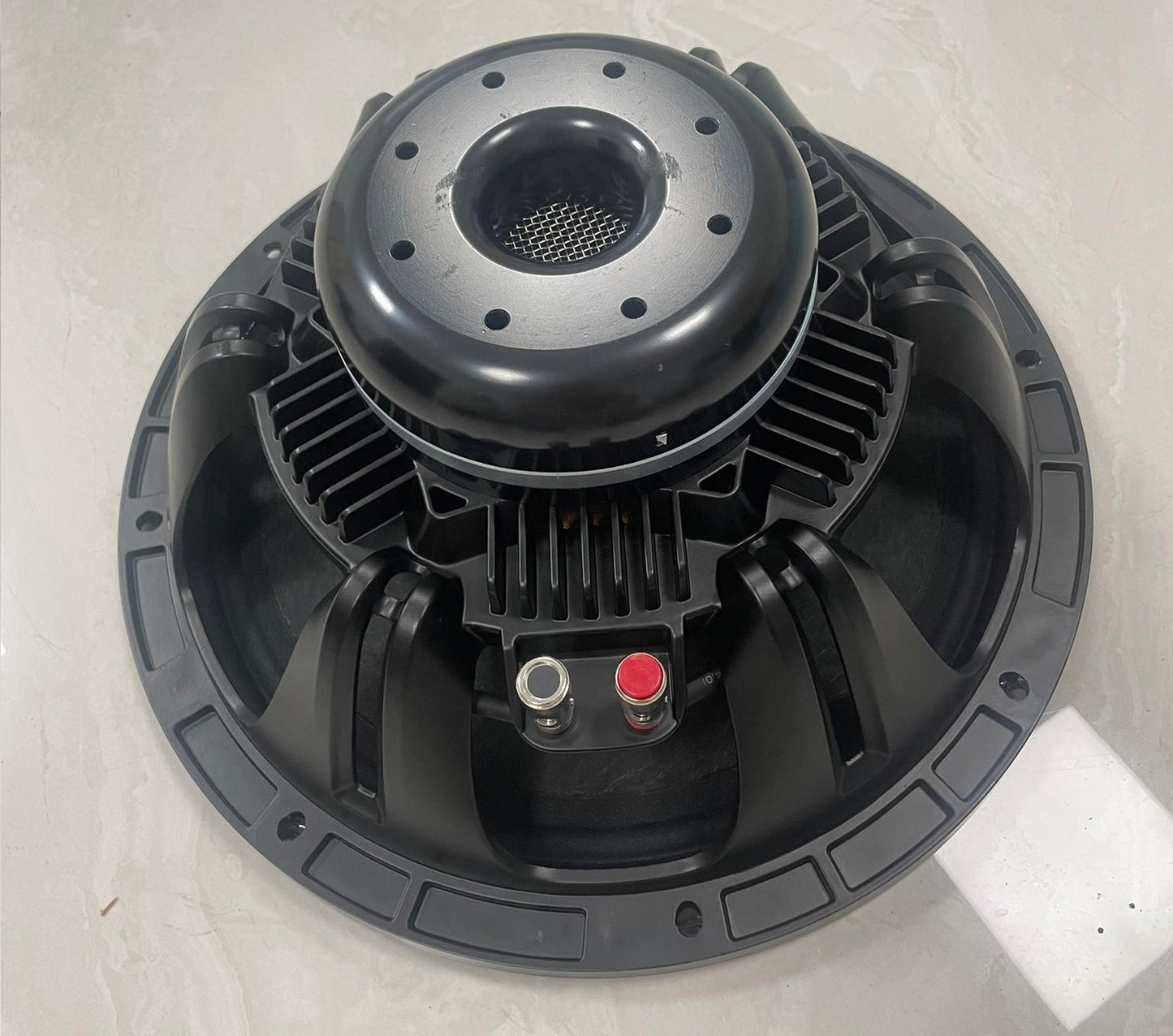 HOQS N123 12" Neodymium