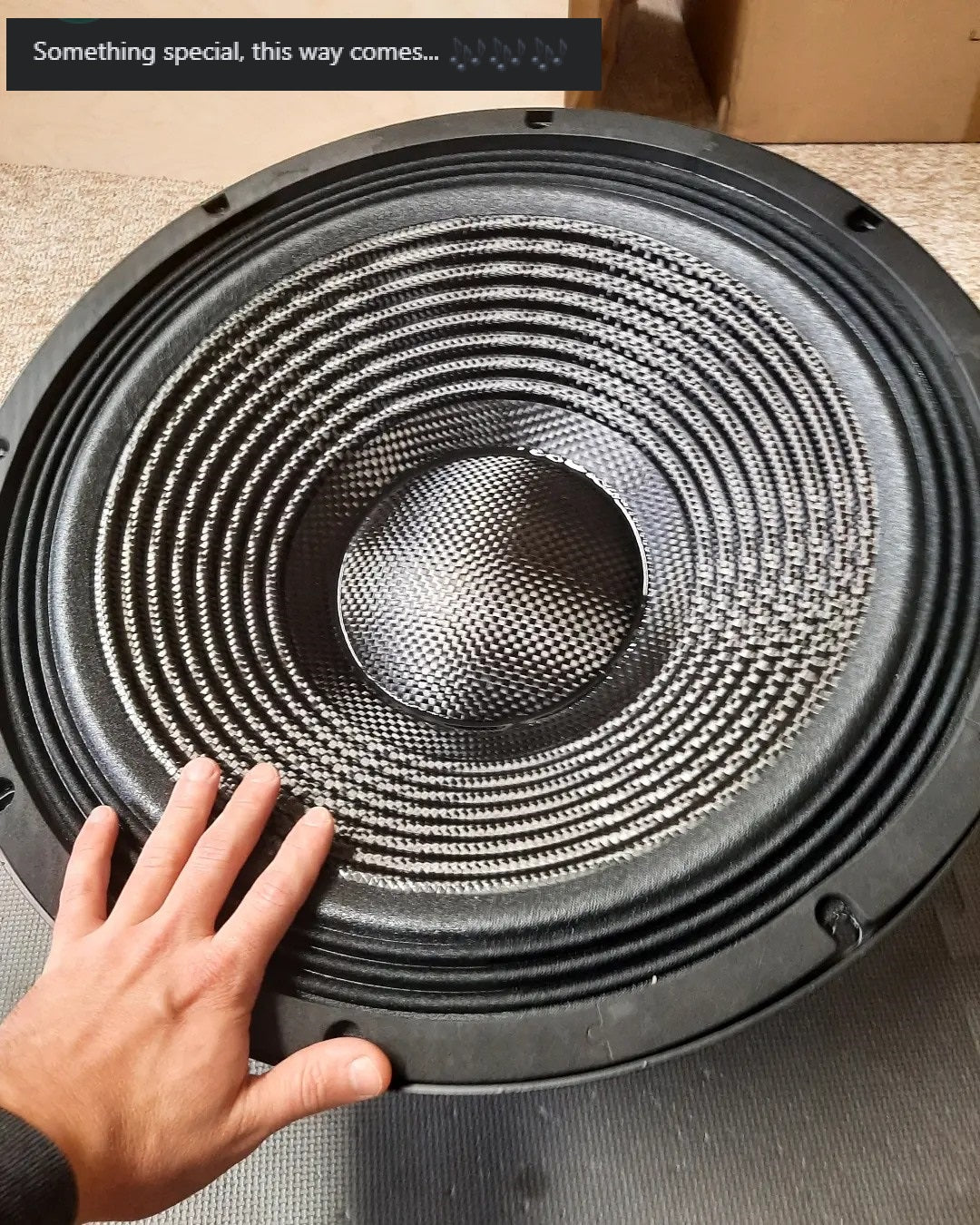 HOQS N216C 21" Neodymium LF