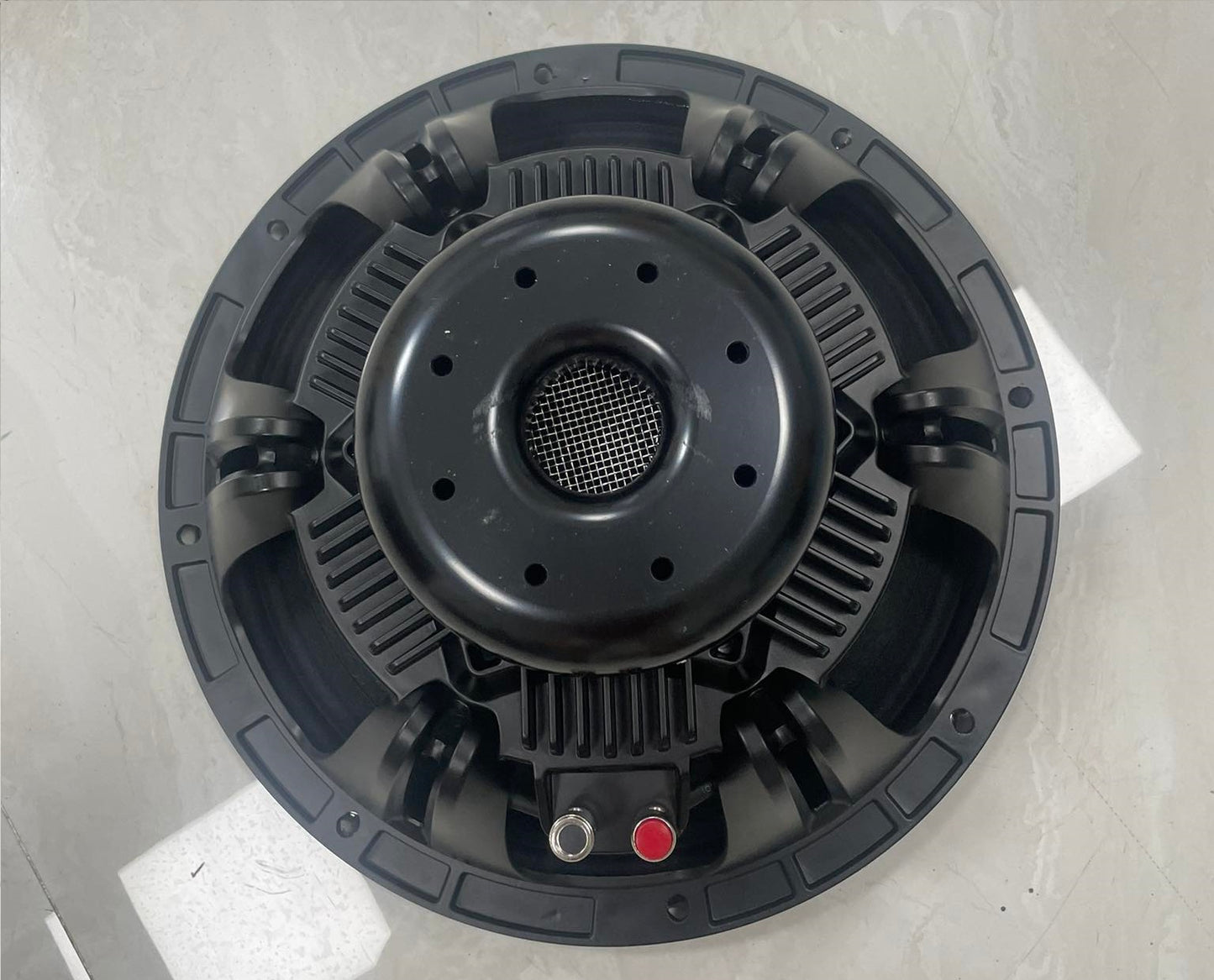 HOQS N123 12" Neodymium